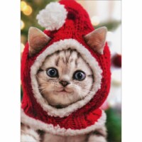 Avanti Press Greeting Cards Christmas Kitten Knit Santa Hat Perspective: Main