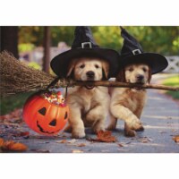 Avanti Press Greeting Card Halloween Golden Puppies with Broom Stick Perspective: Main
