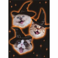 Avanti Kitten Faces in Witch Hats with Orange Outline and Stars Funny Halloween Card Perspective: Main