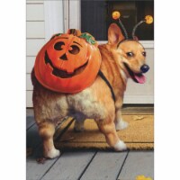 Avanti Press Greeting Cards Halloween Corgi Dog Pumpkin Butt Perspective: Main