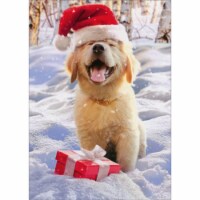 Avanti Press Greeting Card - Christmas Santa Puppy Perspective: Main