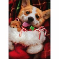 Avanti Press Greeting Cards Christmas Stocking Corgi Perspective: Main