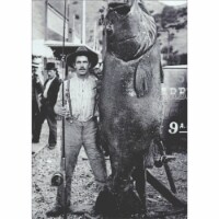 Avanti Press Greeting Cards Birthday Man and Black Sea Bass Perspective: Main