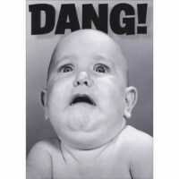 Avanti Press Greeting Cards Birthday- DANG BABY Perspective: Main