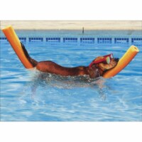 Avanti Press Greeting Cards Retirement- DOG ON POOL NOODLE Perspective: Main