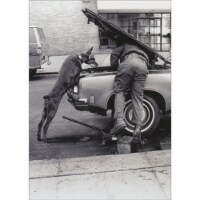 Avanti Press Greeting Cards Birthday- MAN AND DOG ENGINE TUNE UP Perspective: Main