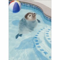 Avanti Press Greeting Cards Friendship Bobbing Seal Perspective: Main