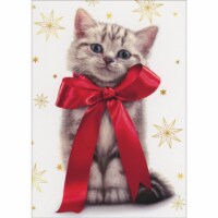 Avanti Press Greeting Cards Christmas Cat with Big Christmas Bow Perspective: Main