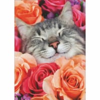 Avanti Smiling Gray and White Cat Face Inside Pink and Peach Roses Valentine's Day Card Perspective: Main