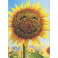 Avanti Press Greeting Card Blank - Sunflower Face Perspective: Main