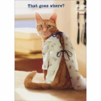 Avanti Press Greeting Card Get Well Cat Hospital Gown Perspective: Main