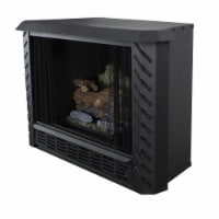 34,000 Btu Vent Free Propane Gas Firebox