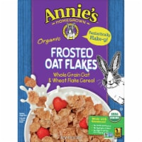 Annie's™ Homegrown Organic Frosted Oat Flakes Cereal Perspective: Main