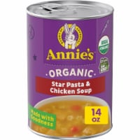 Annie's Organic Star Pasta and Chicken Soup Perspective: Main