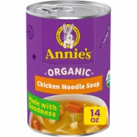 Annie's Organic Chicken Noodle Soup Perspective: Main