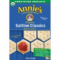 Annie's™ Organic Classics Baked Saltine Crackers Perspective: Main
