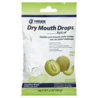 Hager Pharma Melon Dry Mouth Drops