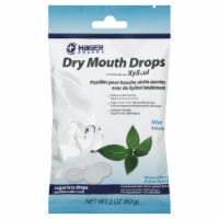 Hager Pharma Mint Dry Mouth Drops