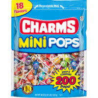 Charms® Mini POPS Perspective: Main