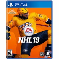 NHL® 19 (PlayStation 4®)