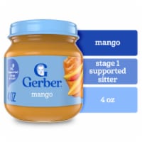 Gerber 1st Foods Natural for Baby Baby Food Mango Perspective: Main