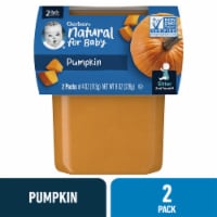 Gerber® 2nd Foods Pumpkin Stage 2 Baby Food