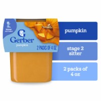 Gerber 2nd Foods Natural for Baby Baby Food Pumpkin 4 oz Tubs (2 Pack) Perspective: Main