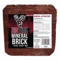 Scott Pet 256757 20 lbs BT90 Big Tine Cherry Rush Mineral Brick