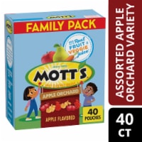 Mott's Gluten Free Apple Orchard Fruit Flavored Snacks Treat Pouches Kids School Snacks