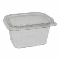 ACT Regular Deli Container with Hinged Lid Perspective: Main