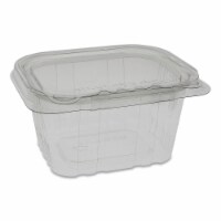 ACT Regular Deli Container with Hinged Lid Perspective: Main