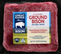 Great Range Ground Bison