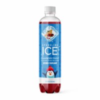 Sparkling Ice® Cranberry Frost Flavored Sparkling Bottled Water Perspective: Main