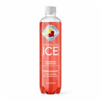 Sparkling Ice Zero Sugar Raspberry Lemonade Sparkling Water Perspective: Main