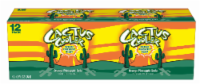 Cactus Cooler Orange Pineapple Blast Soda Cans Perspective: Main
