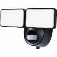 Globe Electric Battery Powered Motion Sensor LED Security Light