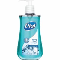 Dial® Spring Water® Liquid Hand Soap