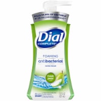 Dial Complete® Fresh Pear Foaming Hand Wash