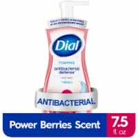 Dial Complete® Power Berries Foaming Antibacterial Hand Wash