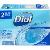Dial Spring Water Soap Bars Perspective: Main