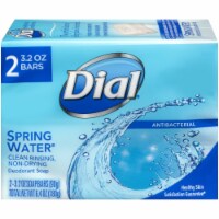 Dial Spring Water Soap Bars Perspective: Main