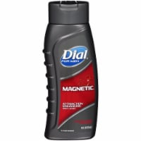Dial for Men Magnetic Body Wash Perspective: Main