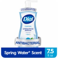 Dial Complete® Spring Water® Foaming Antibacterial Hand Wash