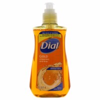 Dial Complete® Gold Antibacterial Liquid Hand Soap