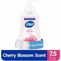 Dial® Cherry Blossom Moisturizing Liquid Hand Soap
