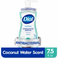 Dial Complete Anti Bacterial Coconut Water Foaming Hand Wash