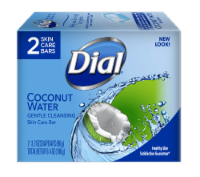 Dial Coconut Water Bar Soap Perspective: Main