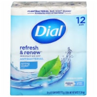 Dial® Antibacterial Deodorant Soap Bars Spring Water® Perspective: Main
