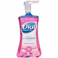 Dial Complete Silk & Magnolia Foaming Antibacterial Hand Wash Perspective: Main