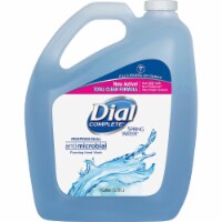 Dial  Hand Wash Refill 15922CT